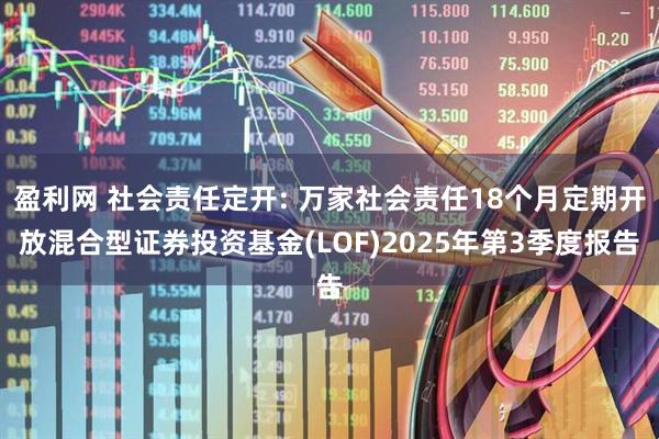 盈利网 社会责任定开: 万家社会责任18个月定期开放混合型证券投资基金(LOF)2025年第3季度报告